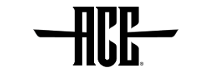 ACE-Partner Logo